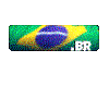 Flag Brasil gif animada!