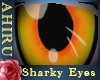 [A]BlackTip Shark Eye