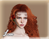 L. Thegstwins carrot