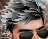Sebastian Platinum