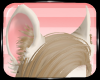 [KITT]Payle Ears 2