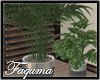 ℱ | Decorative Plant 2