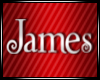 :James: ArmWarmers