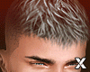Grey Style Hair