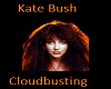 Kate Bush