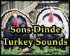 Sons Dinde/Turkey Sounds
