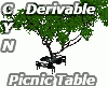 Derivable Picnic Table