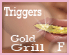 [1K]NEW GOLD GRILL .F