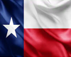 Texas Flag Draped