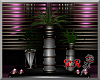 pink p. plant set