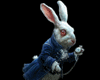 White Rabbit transparent