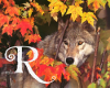 Autumn Wolf Poster