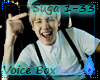 I- BTS Suga VoiceBox