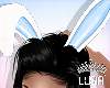 LL** Easter Bunny Ears