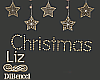 Christmas Signs