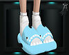 C_F Shark Slippers