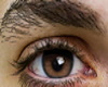 Brown Eyes Male/Female
