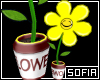[SOF] Dancing Flower
