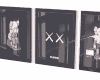 3 kaws photo