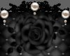 -Mew- Painted Black Rose