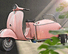 金 Scooter Sidecar