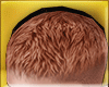 Short Hair  Carrot