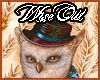 The Wise Owl | F | Plugs
