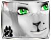:A Dust Neko Ears