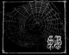 sb spider web