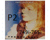 papillon de nuit (P2)