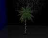 (SS) Tiny Palm lights