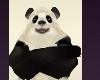 Dancing Panda Fun Funny LOL Hilarious Pets Zoo Animals Halloween