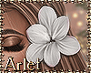 Lily White Flower Left