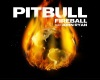 PitBull  -  Fireball