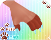 [Pets] Cinda | claws