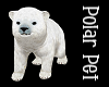 Polar Bear Pet