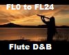 Flute D&B mix