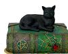 Black Cat on Wicca Book