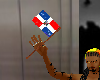 replubic dominicana flag