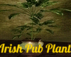 Irish Pub Plant