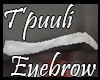 T'puuli Eyebrows (M)