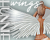 [h] Animated Pearl Wings