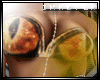 (iK!)Eye (M)