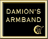 DAMION'S ARMBAND