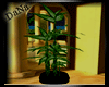 {D}Bamboo Plant