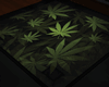Weed Glass Table
