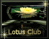 [my]Lotus Club