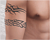 Tribals Arm Tattoo's