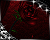 SC: Midnight Rose Drip