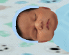 GP*Maternity bed/Boy3